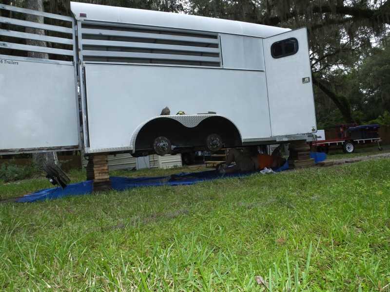 Horse Trailer Rebuild